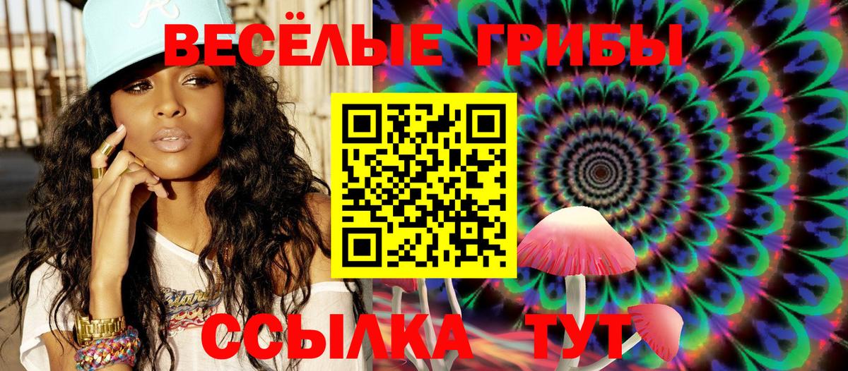 Галлюциногенные грибы мицелий Киржач