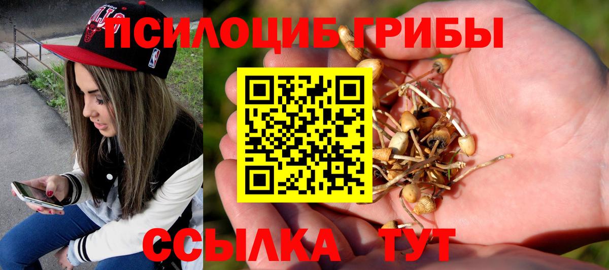 Киржач  Галлюциногенные грибы Psilocybe  Вход с VPN 
